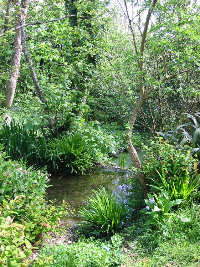 ponds.JPG
