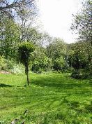 gardenview1.JPG
